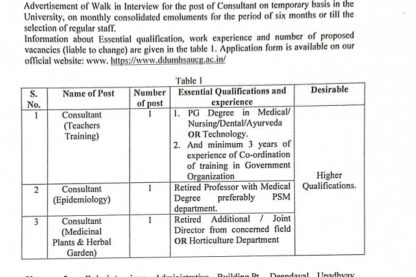 DDUMHSAUCG Raipur Consultant Recruitment 2025