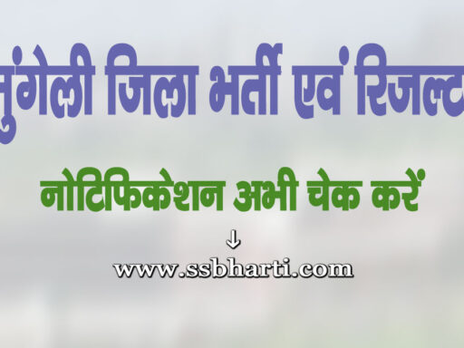 Mungeli Jila Bharti Evam Result 2025